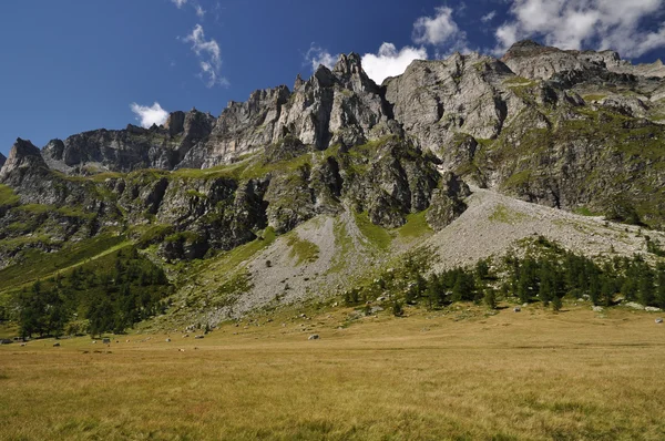 Hochgebirgslandschaft lizenzfreie Stockfotos