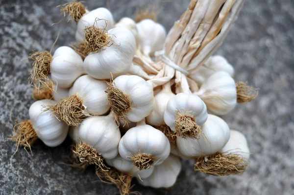 Trenza de ajo Imagen de archivo