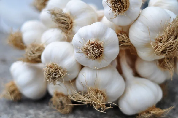 Detalles de la trenza de ajo Imagen de stock