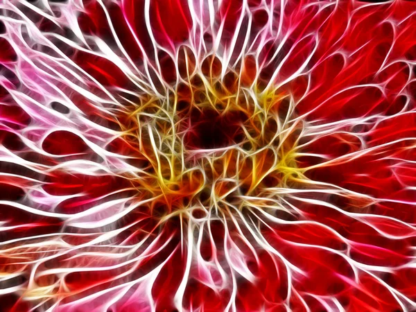 Soyut fraktal çiçek