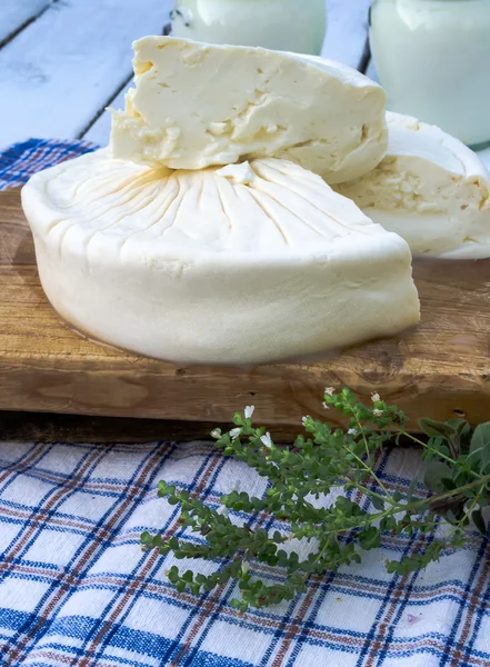 Salamura peynir — Stok fotoğraf