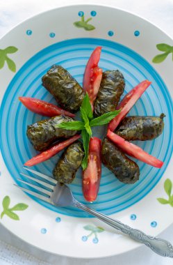 yaprak dolması dock