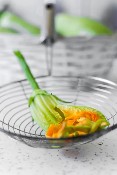 Zucchini blossom — Stock Photo, Image