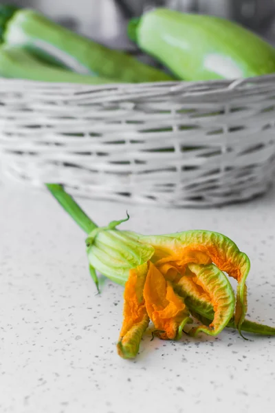 Zucchini blomma — Stockfoto