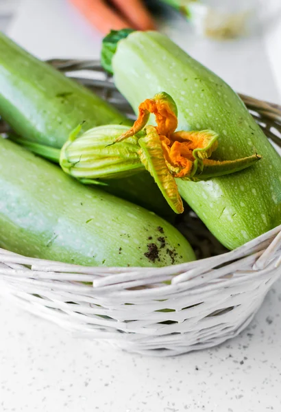 Zucchini blomma — Stockfoto