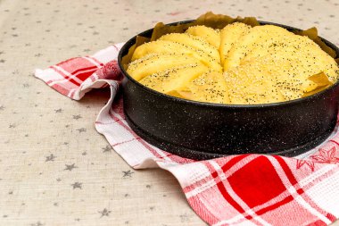 Ev yapımı ekmek için çiğ hamur.