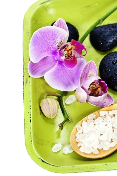 Orchid Spa Composition — Stock Photo, Image