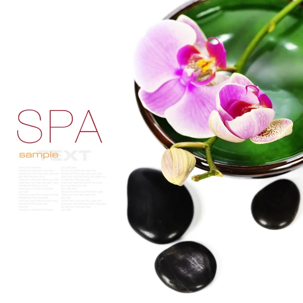 Orchid spa samenstelling — Stockfoto