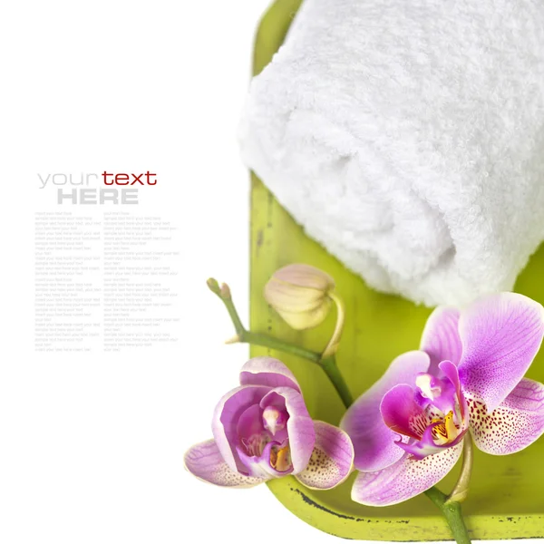 Orchid Spa Composition — Stock Photo, Image