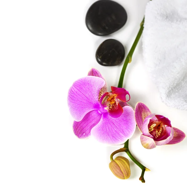 Orchid spa sammansättning — Stockfoto