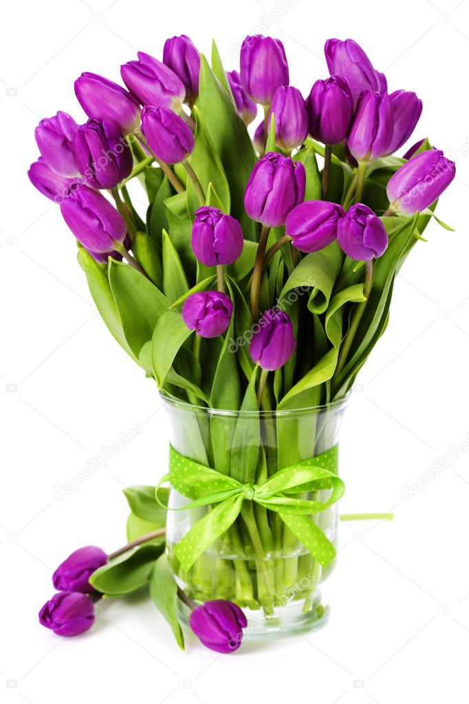 Purple tulips