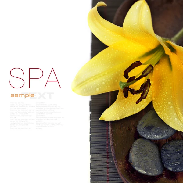 Spa samenstelling — Stockfoto