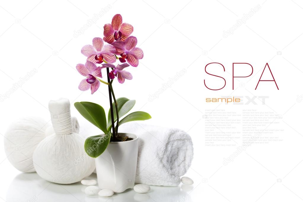 Spa composition with beautiful pink orchid