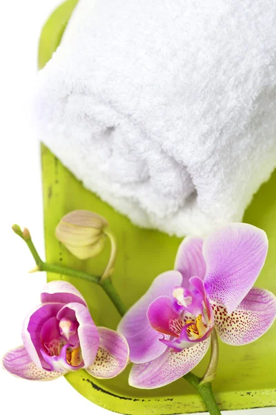 Composición de spa de orquídea — Foto de Stock