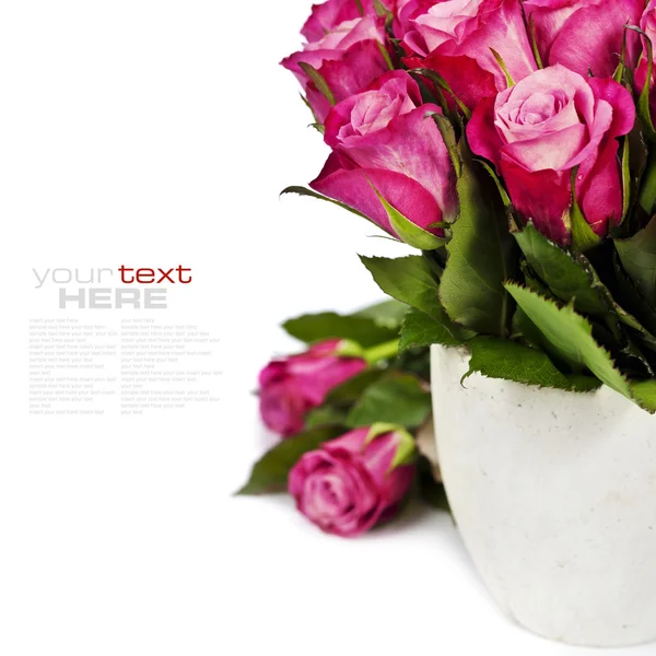 Roze rozen — Stockfoto