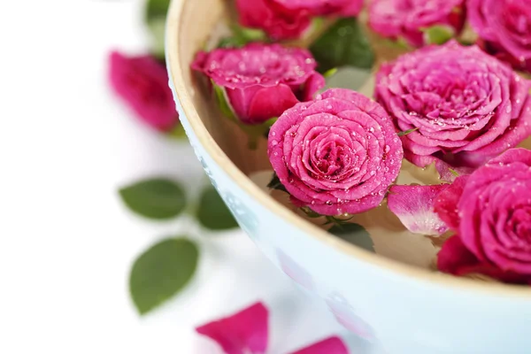 Pink roses in bowl — Stock Photo, Image