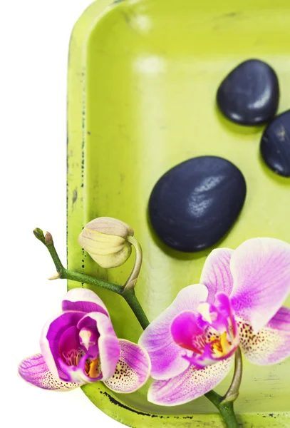 Rosa Orhid und Zen-Kieselsteine — Stockfoto
