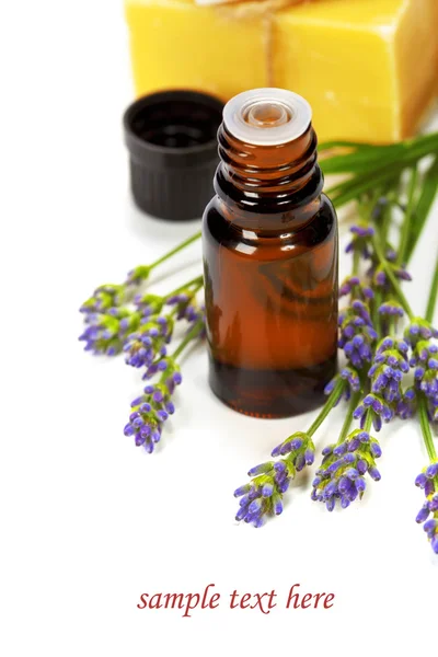 Lavanda spa — Foto de Stock