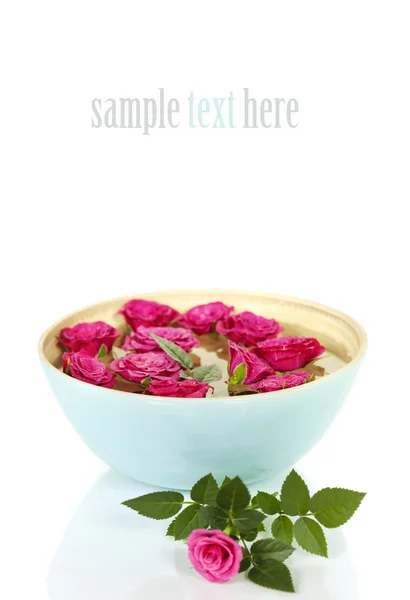 Růžové růže v misce — Stock fotografie