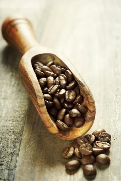 Coffee beans — Stock Photo, Image