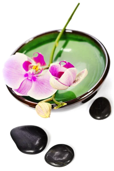 Orchid Spa Composition — Stock Photo, Image