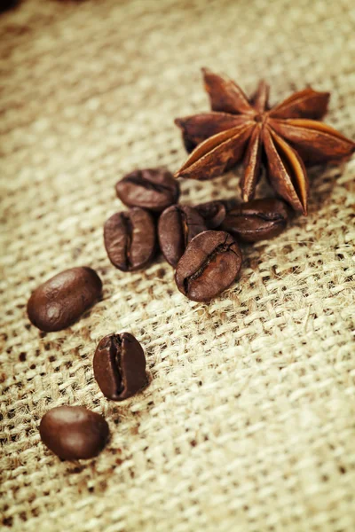 Coffee beans — Stock Photo, Image