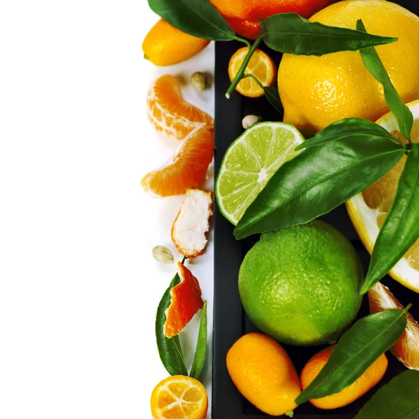 Citrus fruits border — Stock Photo, Image