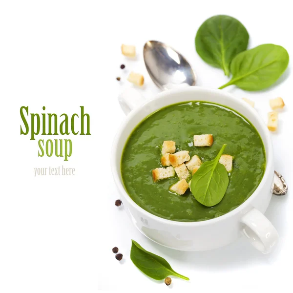 Traditional Spinach soup — Stock Image Traditional Spinach soup Stock Photo