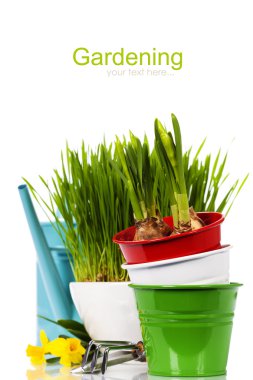 Bahar çiçek ve Bahçe aletleri