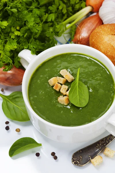 伝統的なほうれん草のスープ — ストック写真