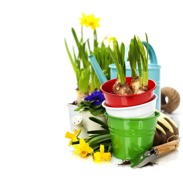 Lentebloemen en tuingereedschap — Stockfoto