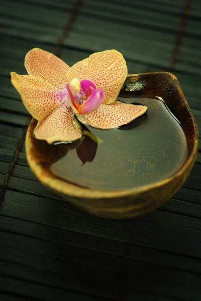 Composición de spa con hermosa orquídea — Foto de Stock