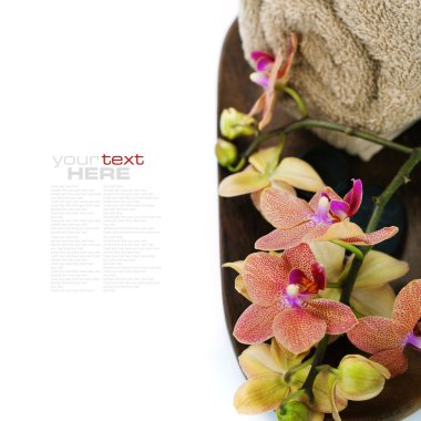 güzel orkide ile Spa kompozisyon