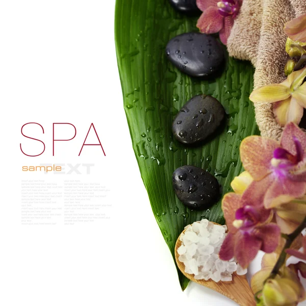 Spa samenstelling met prachtige orchid — Stockfoto