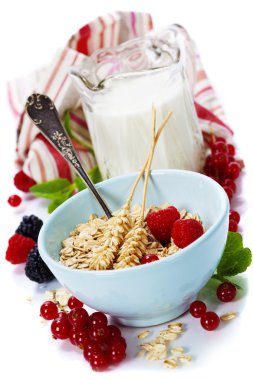 sağlıklı bir kahvaltı ile kase yulaf gevreği