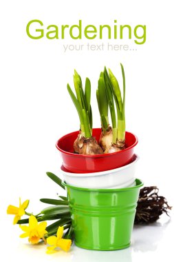 Bahar çiçek ve Bahçe aletleri