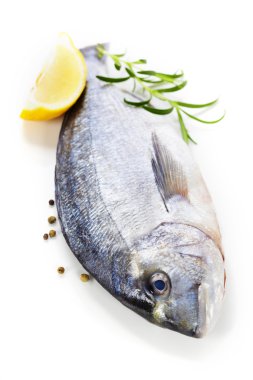 taze dorada balık
