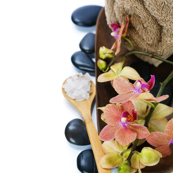 Spa samenstelling met prachtige orchid — Stockfoto