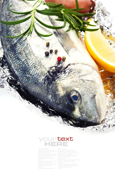 Fresh dorada fish — Stock Photo, Image