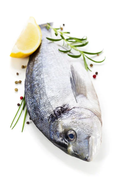 Frischer Dorada-Fisch — Stockfoto