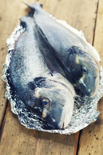 Verse dorada vis — Stockfoto