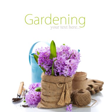 güzel sümbül ve Bahçe aletleri