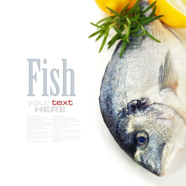 Frischer Dorada-Fisch — Stockfoto