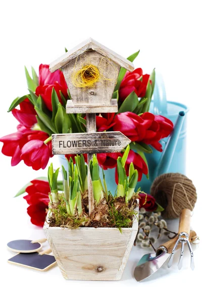 Flores de primavera y herramientas de jardín — Foto de Stock