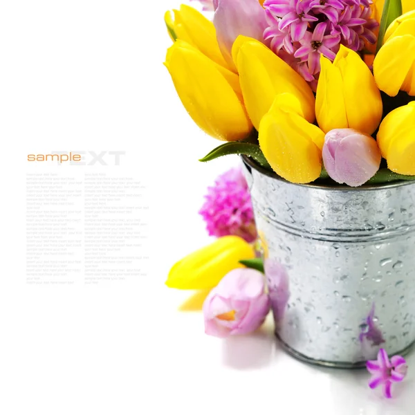 Mooie lentebloemen — Stockfoto