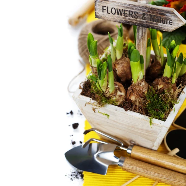 Wiosenne kwiaty i narzędzia ogrodowe — Zdjęcie stockowe