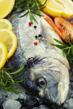 buz üstünde taze deniz ürünleri