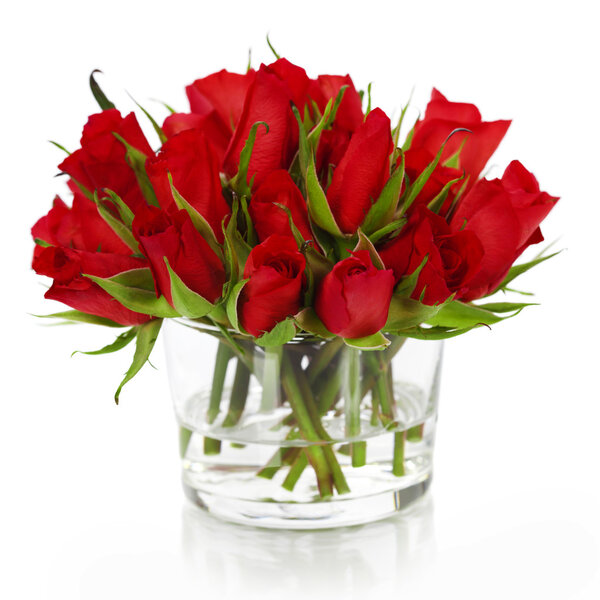 Beautiful red roses