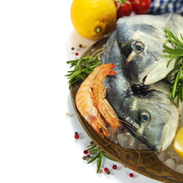 Fruits de mer frais sur glace — Photo