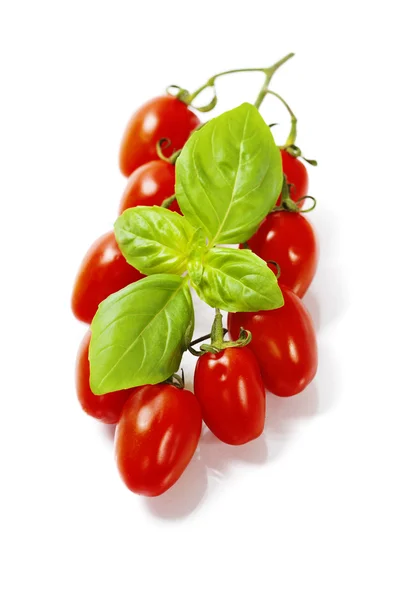 Verse tomaten — Stockfoto